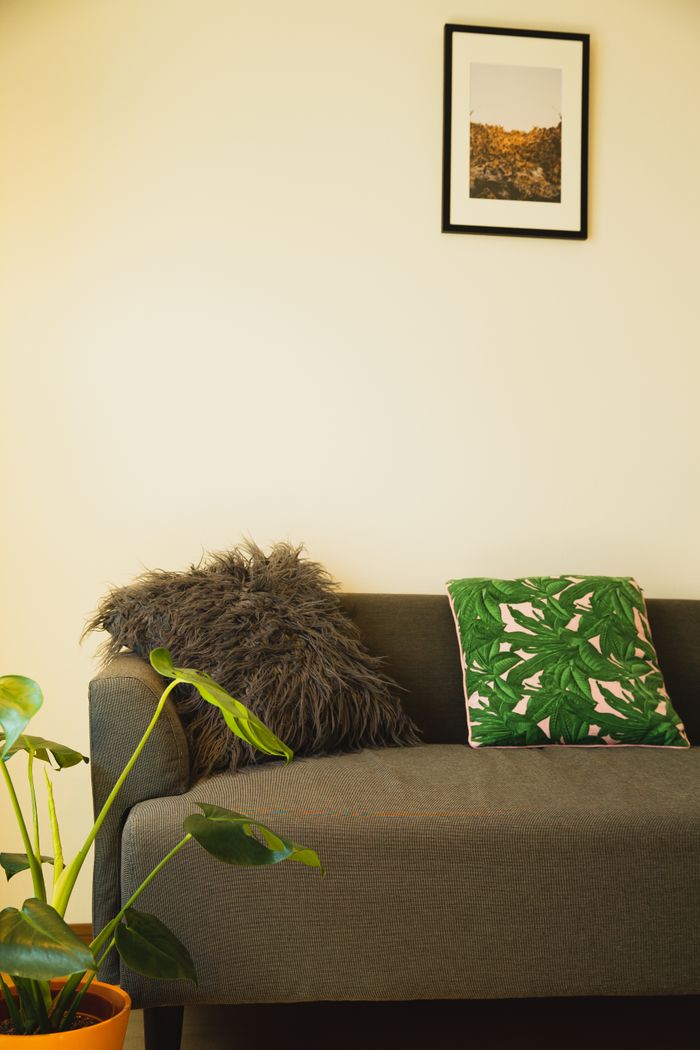 services-img Comfortable couch with cushions near green plant with photo hanging on wall in apartment